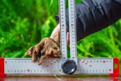 Driftwood For Moss Terrarium, Miniature, Micro Landscape,TS008 -Ncyp Garden Store IMG 9113 16a07000 5cad 4c5a 92d3 08c4256f7fdd