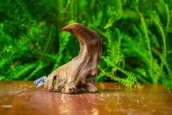 Driftwood For Moss Terrarium, Miniature, Micro Landscape,TS009 -Ncyp Garden Store IMG 9116 3854eec1 08be 40e2 8308 bc9b57d24b4f