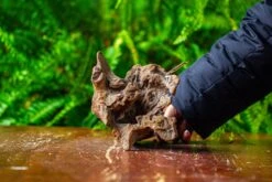 Driftwood For Moss Terrarium, Miniature, Micro Landscape,TS009 -Ncyp Garden Store IMG 9119 2e38f2fa 0c09 47f2 a7ed 5eaaba36b4f6