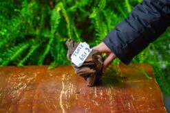 Driftwood For Moss Terrarium, Miniature, Micro Landscape,TS012 -Ncyp Garden Store IMG 9130 90ec78b8 e310 48ac 840a 1e741a581475