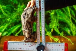 Driftwood For Moss Terrarium, Miniature, Micro Landscape,TS012 -Ncyp Garden Store IMG 9136 8099f0ae dbe7 4846 bd82 95e157cb4e0a