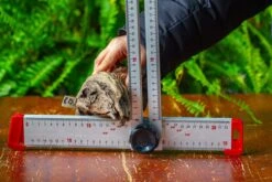 Driftwood For Moss Terrarium, Miniature, Micro Landscape,TS012 -Ncyp Garden Store IMG 9137