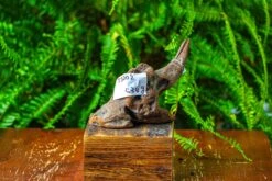 Driftwood For Moss Terrarium, Miniature, Micro Landscape,TS002 -Ncyp Garden Store IMG 9138 1ad27e27 cf89 4ca3 b4af b05194bf6f01