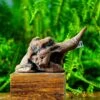 Driftwood For Moss Terrarium, Miniature, Micro Landscape,TS002 -Ncyp Garden Store IMG 9139 2