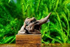 Driftwood For Moss Terrarium, Miniature, Micro Landscape,TS002 -Ncyp Garden Store IMG 9139