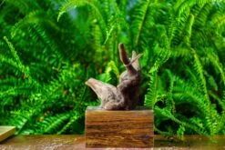 Driftwood For Moss Terrarium, Miniature, Micro Landscape,TS004 -Ncyp Garden Store IMG 9160 dd4b3d85 faeb 43d7 8de9 f38f67518047