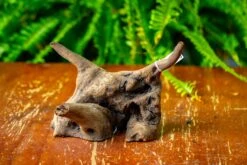 Driftwood For Moss Terrarium, Miniature, Micro Landscape,TS004 -Ncyp Garden Store IMG 9162