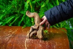 Driftwood For Moss Terrarium, Miniature, Micro Landscape,TS007 -Ncyp Garden Store IMG 9169 790eedb8 a217 4cf9 b546 e8a9499fc301