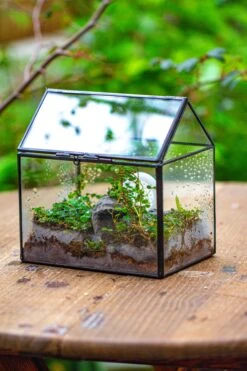 Handmade NCYP Geometric Glass Black Terrarium Box House Shape Close, Tabletop, Swing Lid For Air Plants Moss Snail Reptile Habitat 34 Handmade NCYP Geometric Glass Black Terrarium Box House Shape Close, Tabletop, Swing Lid For Air Plants Moss Snail Reptile Habitat -Ncyp Garden Store IMG 9983