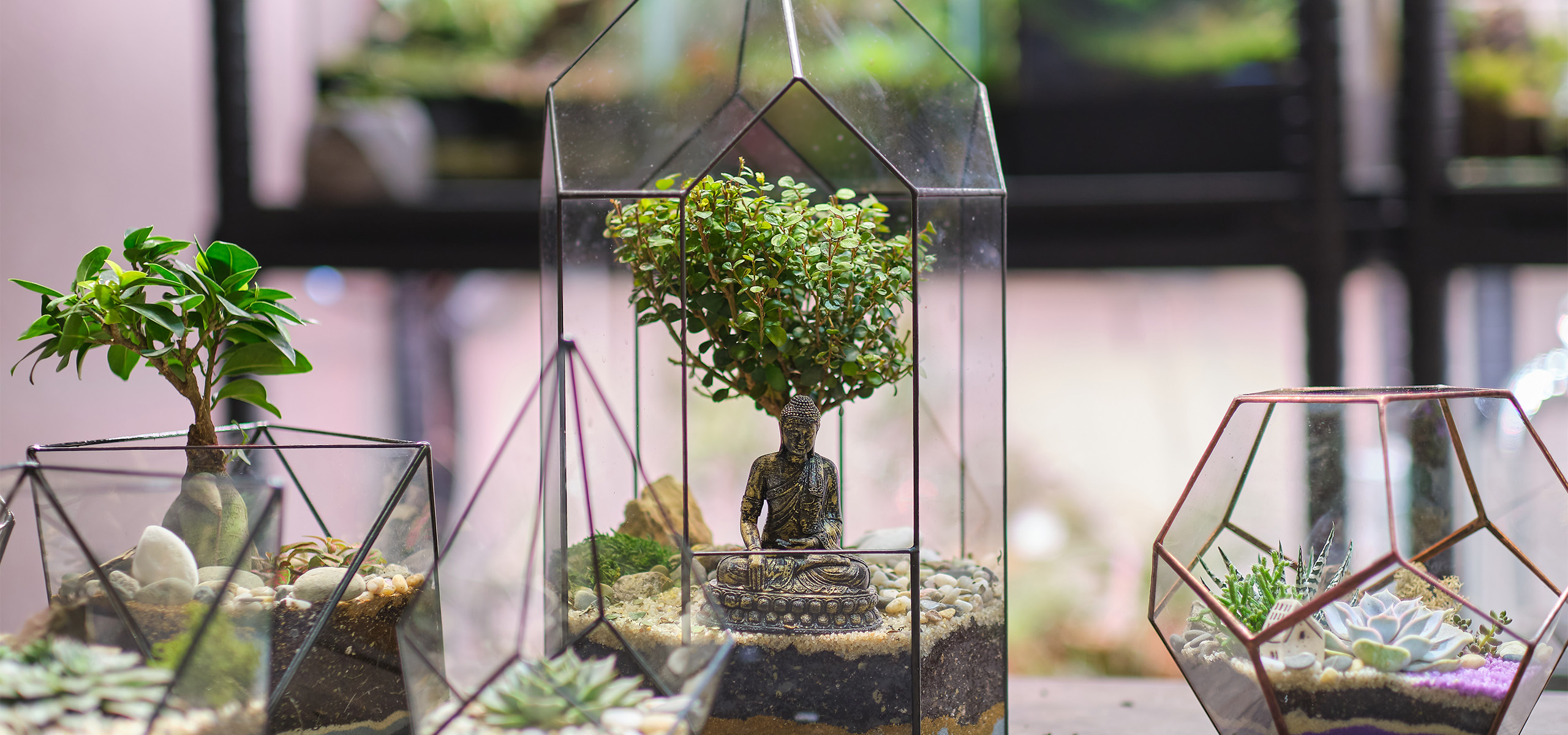 Ncyp Garden Store -Ncyp Garden Store Open terrariums banner feature