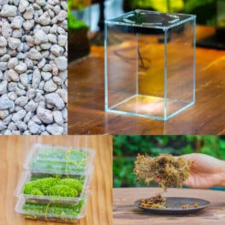 Watertight Glass Tank With LED Grow Light, Acrylic Lid, DIY Terrarium Kit-25x25x25cm / 9.8x9.8x9.8''