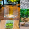 Watertight Glass Tank With LED Grow Light, Acrylic Lid, DIY Terrarium Kit-12x12x18cm / 4.7x4.7x7.1'' -Ncyp Garden Store diy 4