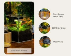 Watertight Glass Terrarium With LED Grow Light, Acrylic Lid For Carnivorous Plants-25x25x30cm / 9.8x9.8x11.8'' 39 Watertight Glass Terrarium With LED Grow Light, Acrylic Lid For Carnivorous Plants-25x25x30cm / 9.8x9.8x11.8'' -Ncyp Garden Store il 794xN.6202648474 6ta6