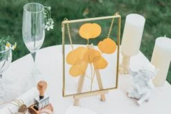 Hanging Rectangle Multiple Size Herbarium Brass Double Glass Frame For Pressed Flowers, Dried Flowers, Poster, Floating Frame -Ncyp Garden Store il fullxfull.3907604770 bwip