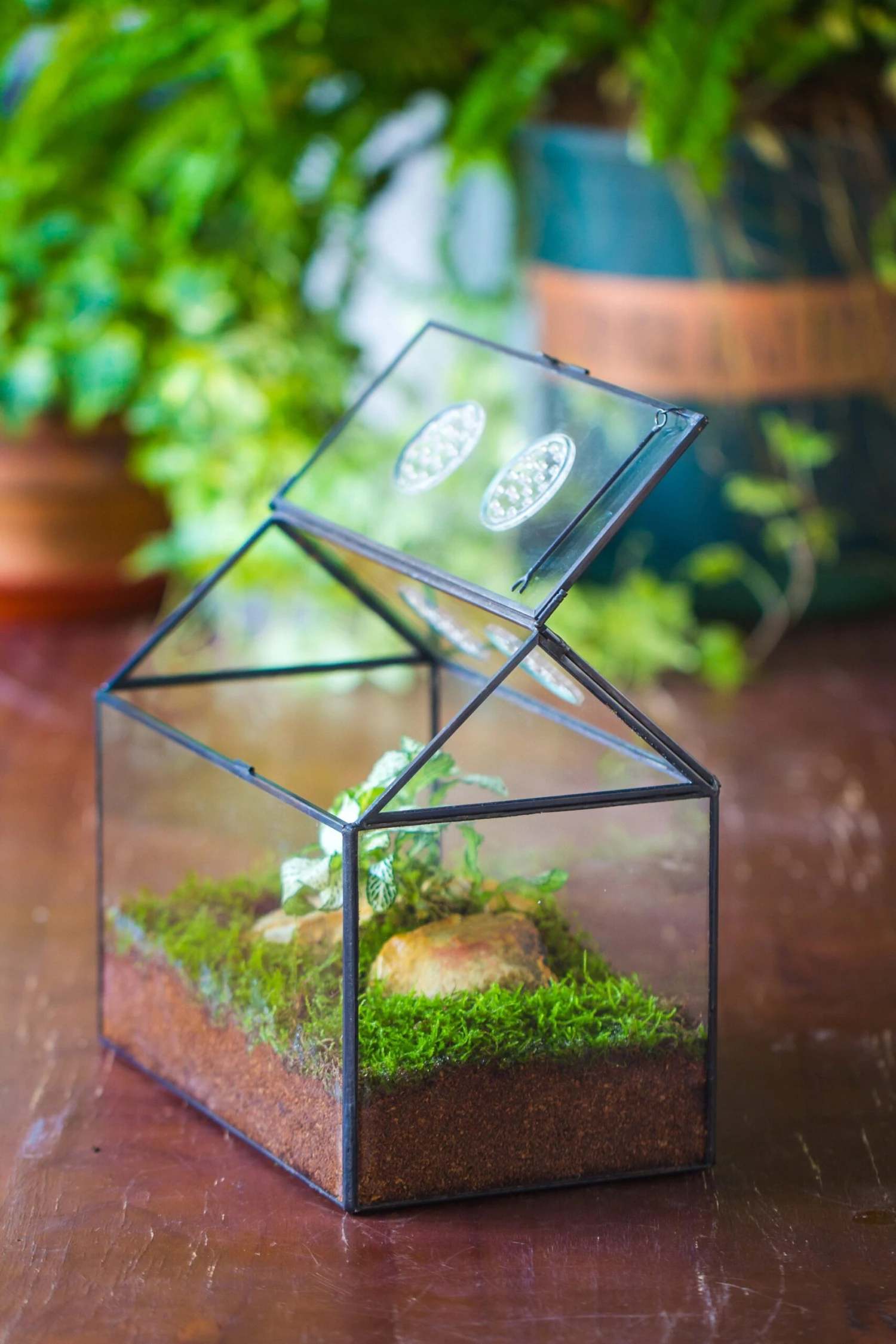 NCYP Handmade Geometric Glass Close Terrarium Box House Shape, Swing Lid Latch For Air Plants Moss Snail Reptile Habitat Vivarium 13 NCYP Handmade Geometric Glass Close Terrarium Box House Shape, Swing Lid Latch For Air Plants Moss Snail Reptile Habitat Vivarium - Image 11