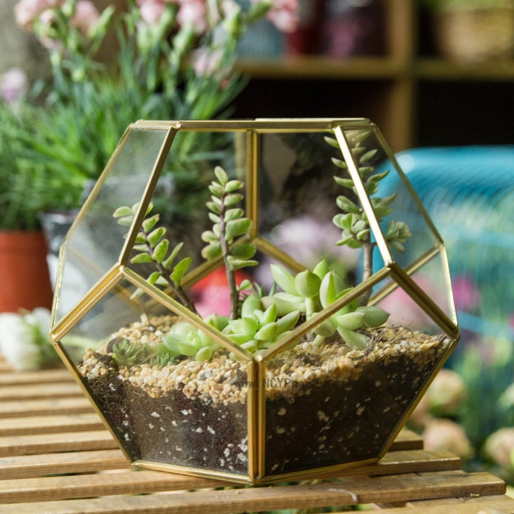 Handmade Tabletop Polyhedron Glass Geometric Terrarium For Succulent Fern Moss Air Plant 4 Handmade Tabletop Polyhedron Glass Geometric Terrarium For Succulent Fern Moss Air Plant - Image 2
