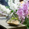 Handmade 3.93" / 10cm Silver Square Inclined Open Cube Glass Geometric Terrarium Box For Succulents -Ncyp Garden Store product image 330636302