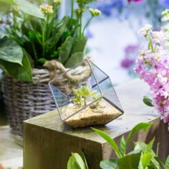 Handmade 3.93" / 10cm Silver Square Inclined Open Cube Glass Geometric Terrarium Box For Succulents -Ncyp Garden Store product image 330636304