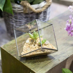 Handmade 3.93" / 10cm Silver Square Inclined Open Cube Glass Geometric Terrarium Box For Succulents -Ncyp Garden Store product image 330636305