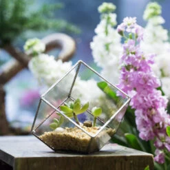 Handmade 3.93" / 10cm Silver Square Inclined Open Cube Glass Geometric Terrarium Box For Succulents -Ncyp Garden Store product image 330636320
