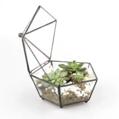 Handmade Small Modern Clear Jewelry BoxGlass Geometric Terrarium For Wedding Planters Succulents -Ncyp Garden Store product image 336639173