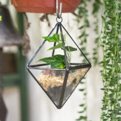 Handmade Small Hanging Geometric Glass Terrarium For Succulent Air Plant -Ncyp Garden Store product image 380708235