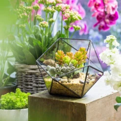 Handmade Bowl Shape Geometric Glass Terrarium Pot For Plants Succulent Moss Miniature Airplants -Ncyp Garden Store product image 381129916