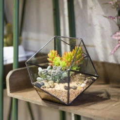 Handmade Bowl Shape Geometric Glass Terrarium Pot For Plants Succulent Moss Miniature Airplants -Ncyp Garden Store product image 381129926