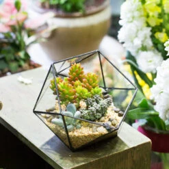 Handmade Bowl Shape Geometric Glass Terrarium Pot For Plants Succulent Moss Miniature Airplants -Ncyp Garden Store product image 381129931