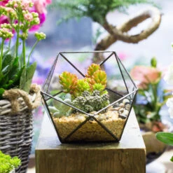 Handmade Bowl Shape Geometric Glass Terrarium Pot For Plants Succulent Moss Miniature Airplants -Ncyp Garden Store product image 381129974
