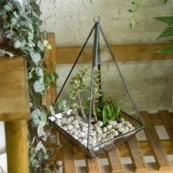 Handmade Glass Geometric Terrarium Indoor Outdoor Planter Landscape Wall Pyramid For Succulents 25 Handmade Glass Geometric Terrarium Indoor Outdoor Planter Landscape Wall Pyramid For Succulents -Ncyp Garden Store product image 383777895