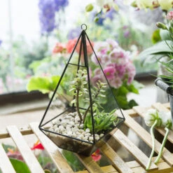 Handmade Glass Geometric Terrarium Indoor Outdoor Planter Landscape Wall Pyramid For Succulents 24 Handmade Glass Geometric Terrarium Indoor Outdoor Planter Landscape Wall Pyramid For Succulents -Ncyp Garden Store product image 383777897