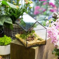 Handmade House Shape Open On The Side Glass Geometric Terrarium For Fern Moss Succulents Airplants -Ncyp Garden Store product image 384965319