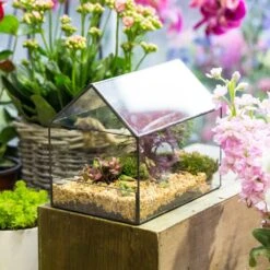 Handmade House Shape Open On The Side Glass Geometric Terrarium For Fern Moss Succulents Airplants -Ncyp Garden Store product image 384965323