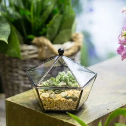 Handmade Small Modern Clear Jewelry BoxGlass Geometric Terrarium For Wedding Planters Succulents -Ncyp Garden Store product image 385370586