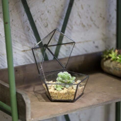 Handmade Small Modern Clear Jewelry BoxGlass Geometric Terrarium For Wedding Planters Succulents -Ncyp Garden Store product image 385370588