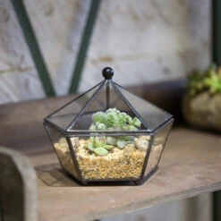 Handmade Small Modern Clear Jewelry BoxGlass Geometric Terrarium For Wedding Planters Succulents -Ncyp Garden Store product image 385370590