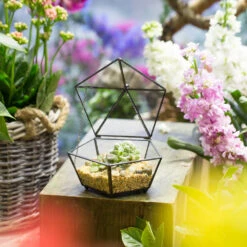 Handmade Small Modern Clear Jewelry BoxGlass Geometric Terrarium For Wedding Planters Succulents -Ncyp Garden Store product image 385370592