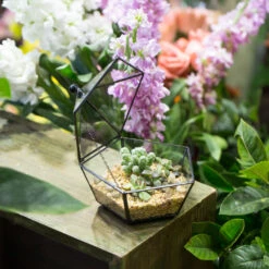 Handmade Small Modern Clear Jewelry BoxGlass Geometric Terrarium For Wedding Planters Succulents -Ncyp Garden Store product image 385370593