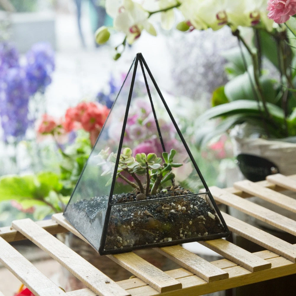 Handmade Pyramid Geometric Glass Terrarium For Succulent Fern Moss Airplants Cacti 4 Handmade Pyramid Geometric Glass Terrarium For Succulent Fern Moss Airplants Cacti - Image 2