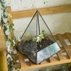 Handmade Pyramid Geometric Glass Terrarium For Succulent Fern Moss Airplants Cacti 18 Handmade Pyramid Geometric Glass Terrarium For Succulent Fern Moss Airplants Cacti -Ncyp Garden Store product image 385399701