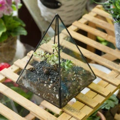 Handmade Pyramid Geometric Glass Terrarium For Succulent Fern Moss Airplants Cacti 23 Handmade Pyramid Geometric Glass Terrarium For Succulent Fern Moss Airplants Cacti -Ncyp Garden Store product image 385399702