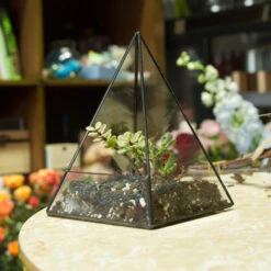 Handmade Pyramid Geometric Glass Terrarium For Succulent Fern Moss Airplants Cacti 15 Handmade Pyramid Geometric Glass Terrarium For Succulent Fern Moss Airplants Cacti -Ncyp Garden Store product image 385399712