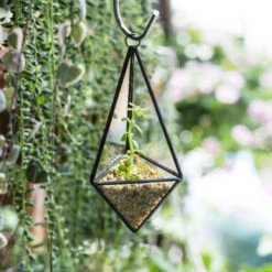 Handmade Hanging Mini Triangular Glass Geometric Terrarium For Fern Moss Succulent Airplants -Ncyp Garden Store product image 386603749