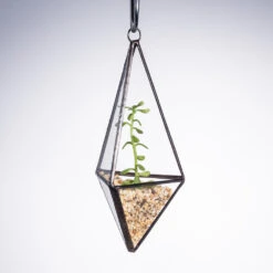 Handmade Hanging Mini Triangular Glass Geometric Terrarium For Fern Moss Succulent Airplants -Ncyp Garden Store product image 386603753