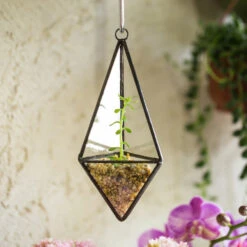 Handmade Hanging Mini Triangular Glass Geometric Terrarium For Fern Moss Succulent Airplants -Ncyp Garden Store product image 386603762