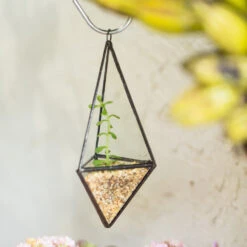 Handmade Hanging Mini Triangular Glass Geometric Terrarium For Fern Moss Succulent Airplants -Ncyp Garden Store product image 386603764