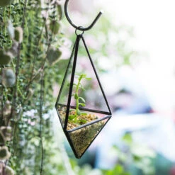Handmade Hanging Mini Triangular Glass Geometric Terrarium For Fern Moss Succulent Airplants -Ncyp Garden Store product image 386603770