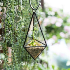 Handmade Hanging Mini Triangular Glass Geometric Terrarium For Fern Moss Succulent Airplants -Ncyp Garden Store product image 386603773