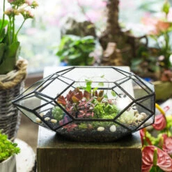 Handmade 11" Height Long Irregular Oval Geometric Glass Terrarium Lantern For Fern Moss Succulents -Ncyp Garden Store product image 386949525